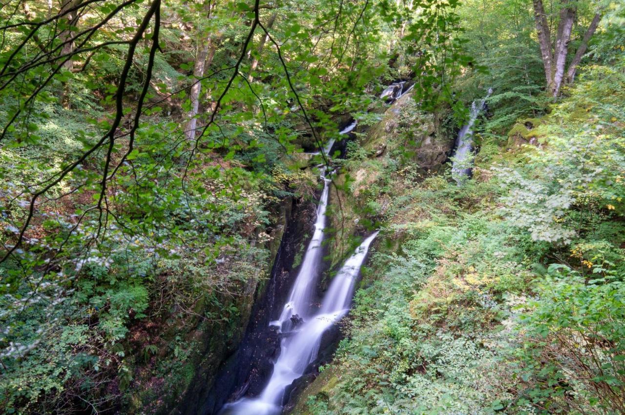 Tree Tops At The Falls - Great For Families, Central Location With Parking Эмблсайд Экстерьер фото